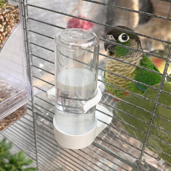 Z096 橫網籠飲水器 | 2GR寬嘴飲水器 鳥用飲水器、寬口飲水器、橫網籠專用飲水器、鸚鵡飲水器、文鳥飲水器、小型鳥類飲水器、鳥籠飲水器、易清潔飲水器、高品質鳥用飲水器