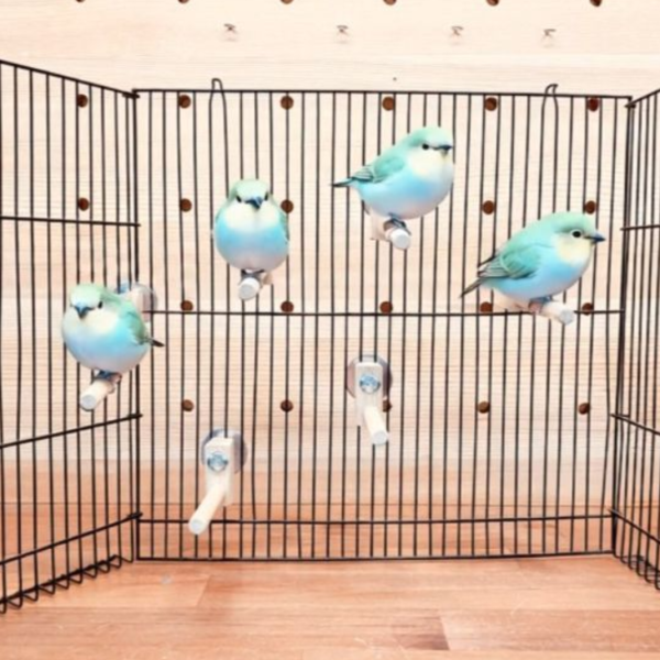 MY PET BIRD 迷你竹站棍 綠繡眼訓練工具
竹質站棍
小腳訓練器材
直徑10mm竹棍
平衡訓練工具
鳥兒站棍模擬
樹枝晃動感覺
綠繡眼運動訓練器具
綠繡眼腳部力量訓練
竹製訓練棍具