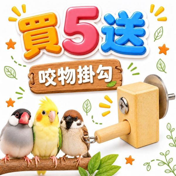 A063  墨魚骨迷你串 文鳥墨魚骨, 鸚鵡補鈣玩具, 迷你墨魚骨, 綠繡眼咬串, 鳥用墨魚骨, 鸚鵡磨喙玩具, 小型鳥補鈣, MY PET BIRD