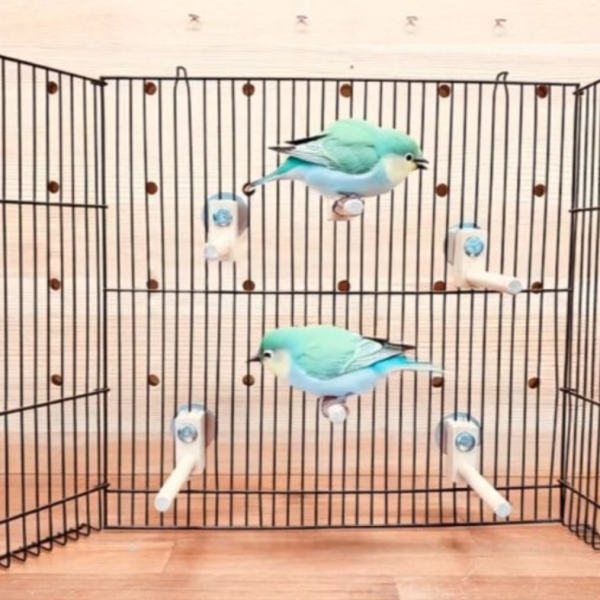 MY PET BIRD 迷你竹站棍 綠繡眼訓練工具
竹質站棍
小腳訓練器材
直徑10mm竹棍
平衡訓練工具
鳥兒站棍模擬
樹枝晃動感覺
綠繡眼運動訓練器具
綠繡眼腳部力量訓練
竹製訓練棍具