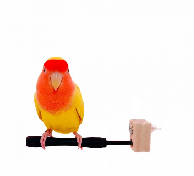 MY PET BIRD 特製曲線型紫光檀站棍 鳥類站立架
寵物站立訓練器材
鸚鵡活動訓練棒
可調節高度鳥類站立器材
天然木鳥類站立架
無毒寵物訓練玩具
多功能鸚鵡訓練用品
適合鸚鵡站立練習的玩具