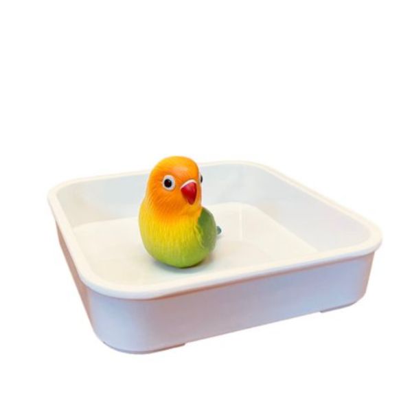 Z035A  新經濟寵物浴盆 新經濟寵物浴盆
實用寵物浴盆
方便洗澡解決方案
環保寵物浴盆
舒適寵物洗澡體驗
寵物洗澡器具
耐用寵物浴盆
節水浴盆
家用寵物洗澡工具
多功能寵物浴盆