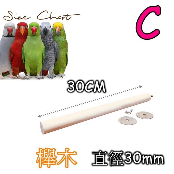 W879 大型鸚鵡加長粗站棍｜松木/鞍木/櫸木多款可選 巴西 節節木 站棍

天然 木材 鸚鵡 站架

鸚鵡 磨爪 站棍

中型鸚鵡 棲木 推薦

預防 鸚鵡 關節炎 站棍

鸚鵡 腳部 健康 站棍
