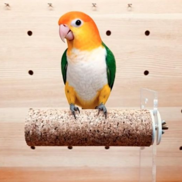 W877 啃咬橡木軟木  給鳥寶雲端般的站立體驗 防咬毛 玩具

鸚鵡解悶 玩具

防啄羽 玩具

鸚鵡磨爪 棒/玩具

鳥寶打發時間 玩具

鸚鵡自嗨 玩具

鳥籠 裝飾 玩具

鸚鵡 智力 開發 玩具