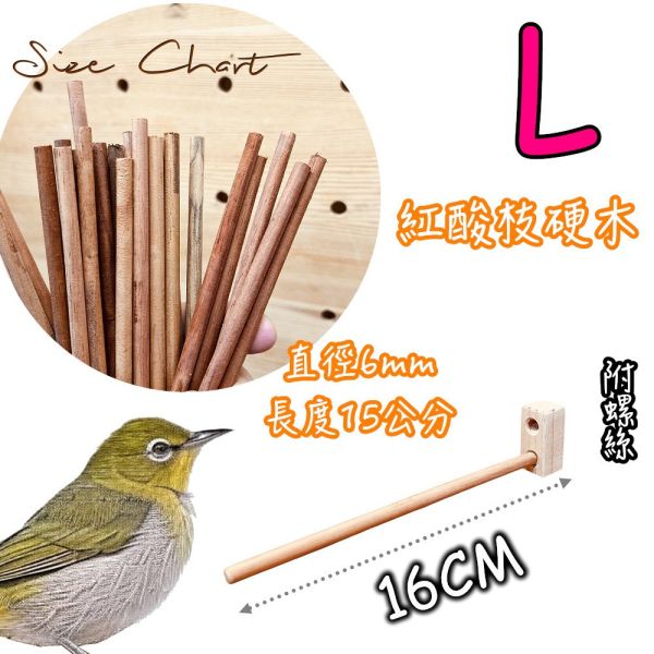 MY PET BIRD  綠繡眼櫸木站棍 鳥類站立架
寵物站立訓練器材
鸚鵡活動訓練棒
可調節高度鳥類站立器材
天然木鳥類站立架
無毒寵物訓練玩具
多功能鸚鵡訓練用品
適合鸚鵡站立練習的玩具