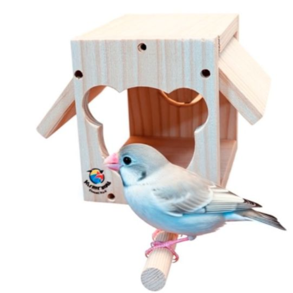 W474 小熊造型 / 鸚鵡小木屋 鳥用木窩
鳥居住用品
鳥類寄宿舍
天然木質鳥窩
鳥類棲息場所
無毒環保鳥窩
適合鳥類棲息的木製窩
室內外鳥類居住用品
手工製作鳥窩
鳥類庇護所