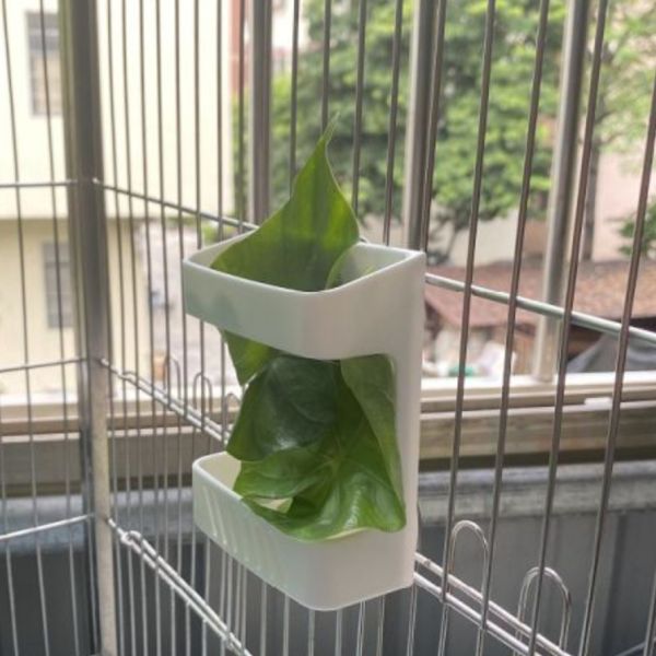 MY PET BIRD 鸚鵡蔬果籃/多功能寵物食盒 鳥類果蔬籃
鳥兒食物供應籃
鳥類水果蔬菜器皿
新鮮食物籃子
鳥類營養補充器
鳥用食物盛放器
天然鳥類飲食工具
健康鳥類食物籃
方便鳥類飲食器具
鳥類食物分配容器