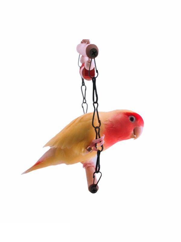 W532 多功能鞍木金屬環鞦韆 鞍木金屬環鞦韆、鳥類玩樂、多功能鞦韆、攀爬與搖擺、咬物娛樂、體力鍛練、耐用品質、小型鳥類、中型鸚鵡、健康玩耍。