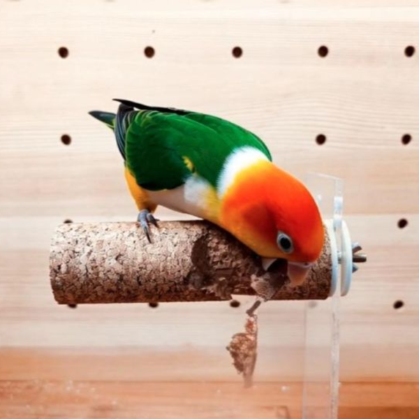 W877 啃咬橡木軟木  給鳥寶雲端般的站立體驗 防咬毛 玩具

鸚鵡解悶 玩具

防啄羽 玩具

鸚鵡磨爪 棒/玩具

鳥寶打發時間 玩具

鸚鵡自嗨 玩具

鳥籠 裝飾 玩具

鸚鵡 智力 開發 玩具