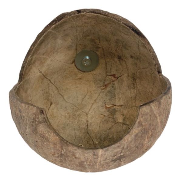 MY PET BIRD 台灣現貨/椰殼窩 椰殼鸚鵡木窩
小鸚鵡舒適窩巢
天然椰殼鸚鵡窩
耐用木質鸚鵡窩
易清洗鸚鵡木窩
鸚鵡舒適休憩空間
環保椰殼鸚鵡窩
手工製作鸚鵡木窩
自然材質鸚鵡窩
安全可靠的鸚鵡住所