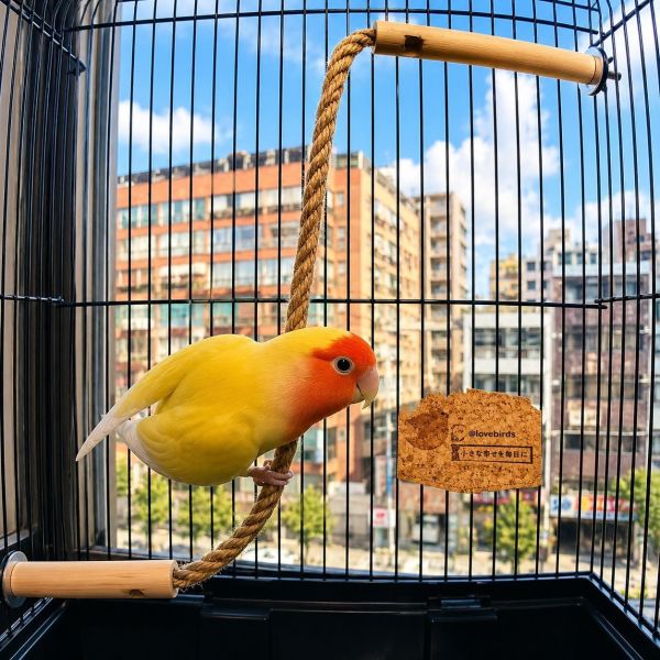 W817 鸚鵡空中纜繩 鸚鵡空中纜繩、鳥籠空中纜繩、鸚鵡棲木、綠繡眼站架　小型鸚鵡玩具、鳥籠站架配件、原木鳥玩具、鸚鵡麻繩站桿、殘疾鳥站台、MY PET BIRD