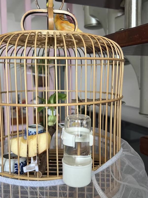 MY PET BIRD 質優飲水器 鸚鵡飲水器
高品質鸚鵡飲水器
安全健康的鸚鵡飲水設備
飲水器適合鸚鵡使用
鸚鵡專用飲水設備
提供乾淨飲水的鸚鵡飲水器
鸚鵡飲水器推薦
環保節能的鸚鵡飲水設備
鸚鵡飲水器品牌比較
保護鸚鵡健康的飲水選擇