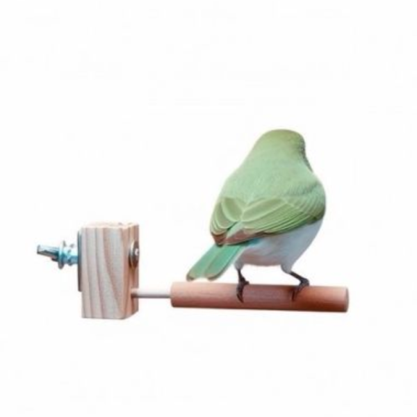 W831 綠繡眼站棍｜專為迷你腳掌設計｜天然紅木粗面站桿 鸚鵡站棍
鳥類站立架
寵物站立訓練器材
鸚鵡活動訓練棒
可調節高度鳥類站立器材
天然木鳥類站立架
無毒寵物訓練玩具
多功能鸚鵡訓練用品
適合鸚鵡站立練習的玩具