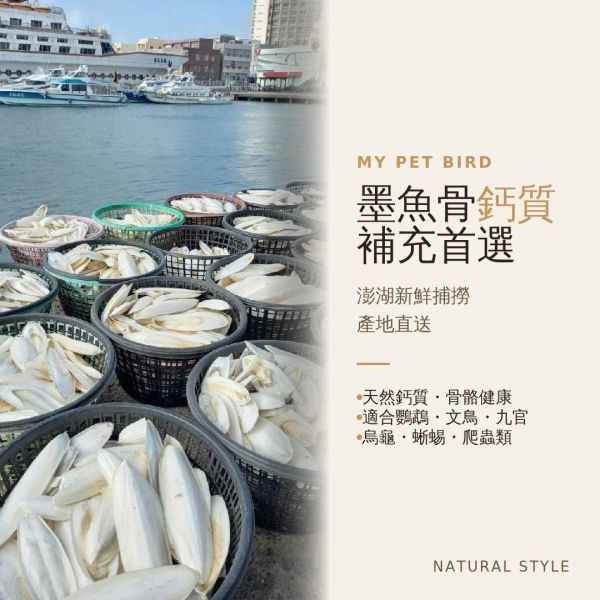 MY PET BIRD 澎湖產地墨魚骨粉 補鈣墨魚骨
鈣質補充
健康骨骼
強化骨骼
營養豐富
天然食材
高鈣來源
墨魚骨營養
骨骼健康