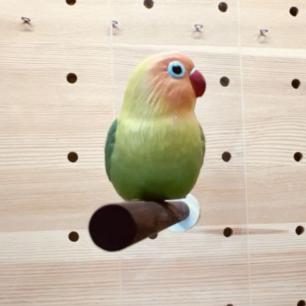 MY PET BIRD 紫光檀站棍 棲木 寵物文創,鳥玩具,鸚鵡玩具,文鳥,玄鳳,和尚,虎皮,綠繡眼,凱克,寵物用品,寵物玩具,咬物