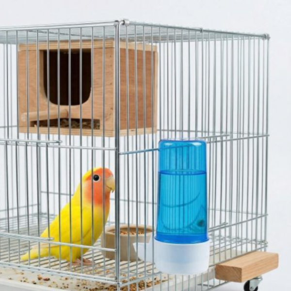 Z015 質優飲水器 鸚鵡飲水器
高品質鸚鵡飲水器
安全健康的鸚鵡飲水設備
飲水器適合鸚鵡使用
鸚鵡專用飲水設備
提供乾淨飲水的鸚鵡飲水器
鸚鵡飲水器推薦
環保節能的鸚鵡飲水設備
鸚鵡飲水器品牌比較
保護鸚鵡健康的飲水選擇