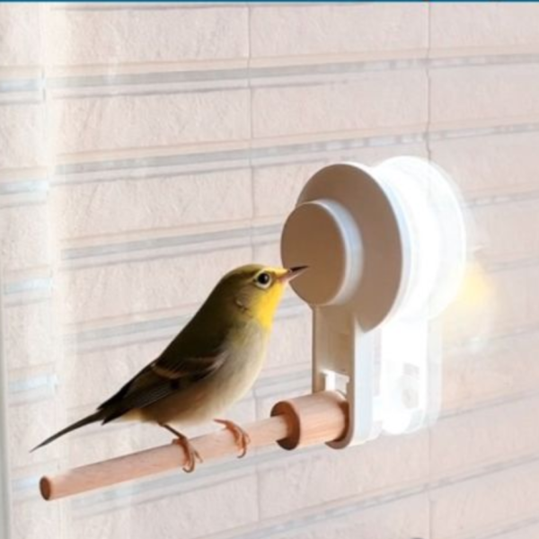 車用站架 綠繡眼用 吸盤式鳥站棍
鳥類活動站棍
吸盤式鳥類觀察器材
室內鳥類站棍
室外鳥類站棍
適用於鳥類的吸盤站棍