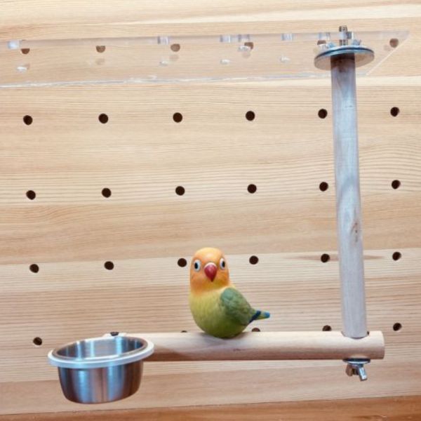 MY PET BIRD 彩翼餐樂架／中型鸚鵡 鹦鹉站架
鹦鹉架
鹦鹉用品
鳥類用品
鳥類玩具
鳥類站架
寵物用品
竉物玩具
寵物訓練用品
鸚鵡訓練用品