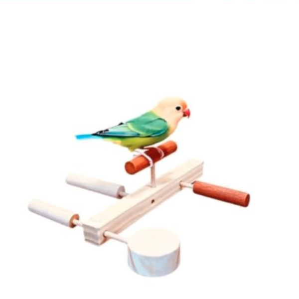 W851C  文鳥｜小鸚鵡多合一站棍 適合文鳥的站棍

小型鸚鵡站棍推薦

多方向鳥籠站棍

可調高度鳥籠站棍

台灣製造鳥籠配件

紅花梨木鳥籠站棍

櫸木鳥籠站棍

鳥籠站棍安裝簡易

鳥類跳躍站棍設計

鳥籠內運動空間設計