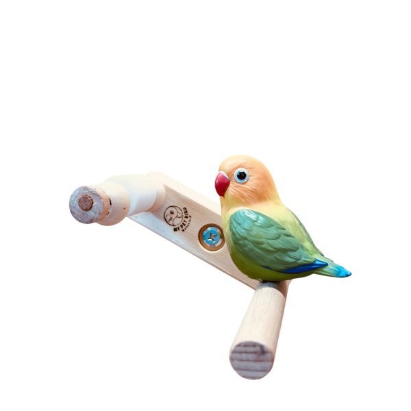W873 鳥寶解悶首選 | 磨牙玩具 鳥用鏡子、鳥類玩具、視覺刺激、鳥類娛樂、互動玩具、心理刺激、社交模擬、健康心態、寵物鳥、愉悅體驗、愛護鳥類、實用產品