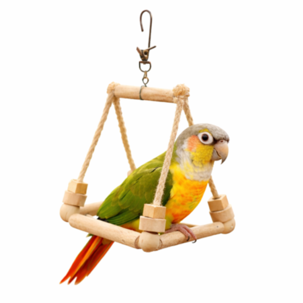 W538 3D立體四向鳥鞦韆｜穩定支架不翻倒、加壓運動必備 鳥用鞦韆
小鸚鵡鞦韆
3D立體造型鞦韆
方形支架座鞦韆
鳥類遊戲玩具
鳥類運動器材
室內外適用鳥類鞦韆
容易清洗鳥用鞦韆
鳥類健康促進器材
鳥類樂趣遊戲器材