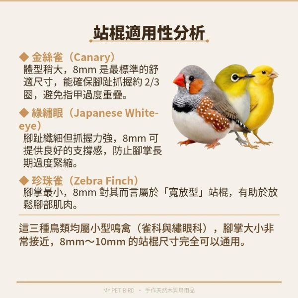 W834D 綠繡眼籠內跳架 綠繡眼站台 bird perch stand
綠繡眼站架 Bird stand
綠繡眼站棍　Bird Perch
綠繡眼遊樂場 Bird Playground
綠繡眼鳥玩具 Parrot toys
綠繡眼鳥用品 bird products
綠繡眼攀爬繩 Climbing rope
綠繡眼梯子 ladder