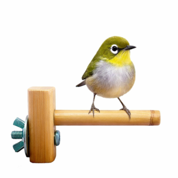 MY PET BIRD 迷你竹站棍 綠繡眼訓練工具
竹質站棍
小腳訓練器材
直徑10mm竹棍
平衡訓練工具
鳥兒站棍模擬
樹枝晃動感覺
綠繡眼運動訓練器具
綠繡眼腳部力量訓練
竹製訓練棍具