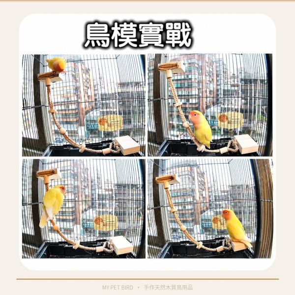 W721 空中纜繩 鸚鵡站台
鸚鵡活動台
鳥類休息台
寵物休息訓練架
可調節高度鳥類休息台
天然木鳥類站立架
無毒寵物訓練玩具
多功能鸚鵡訓練用品
適合鸚鵡休息和站立練習的玩具