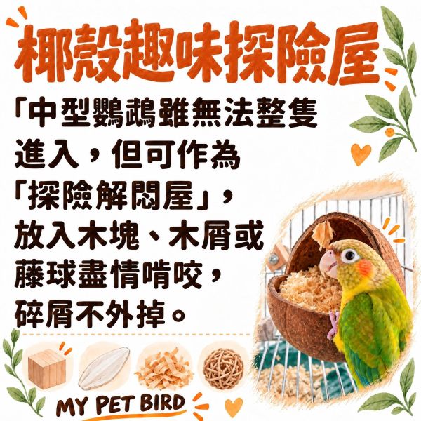 W403 天然椰殼鸚鵡窩｜透氣耐啃咬 椰殼鸚鵡窩, 鸚鵡木窩, 鳥窩推薦, 小型鳥玩具, 鸚鵡躲貓貓小屋, 虎皮鸚鵡窩, 小鸚巢穴, 文鳥用品, 鸚鵡睡眠窩, 寵物鳥用品現貨