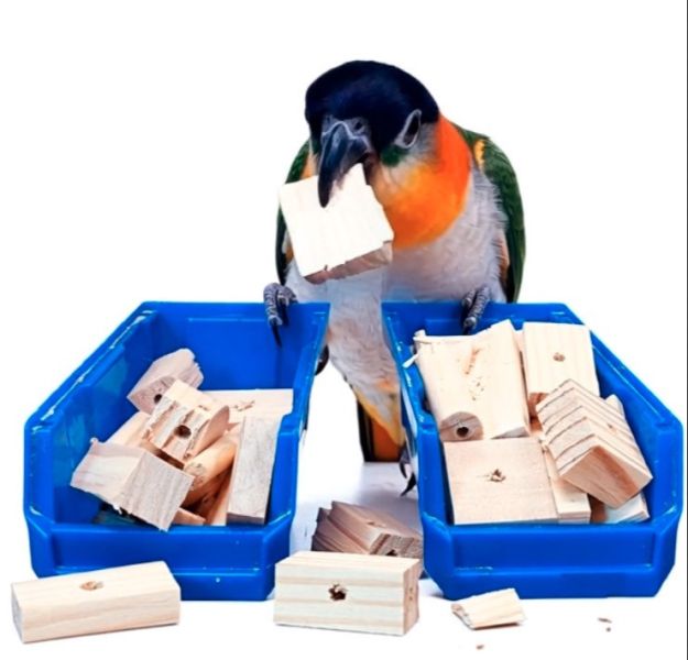 w099 原木的邊角料｜中型鸚鵡啃咬木塊 鸚鵡 啃木

鳥 玩具 DIY

天然 木塊

鸚鵡 玩具

邊角料