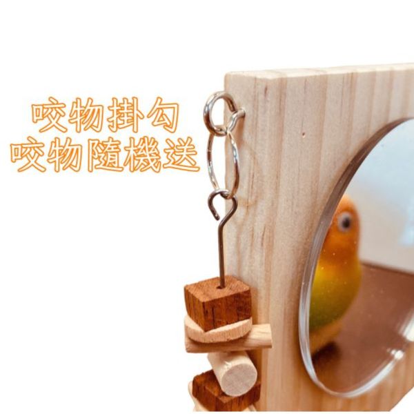 MY PET BIRD 小型鳥站鏡 鳥用鏡子、鳥類玩具、視覺刺激、鳥類娛樂、互動玩具、心理刺激、社交模擬、健康心態、寵物鳥、愉悅體驗、愛護鳥類、實用產品