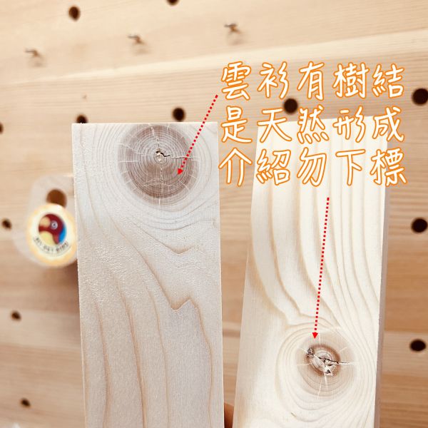 MY PET BIRD綠繡眼：輕巧食物站架的最佳選擇 輕巧食物站架
綠繡眼食物架