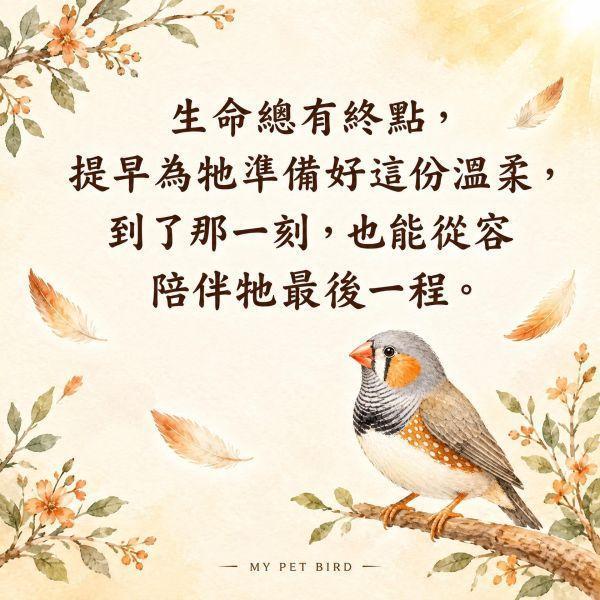 W471K  寵物鳥骨灰壇與紀念密封罐｜鳥寶安葬紀念 寵物鳥骨灰壇,鳥類骨灰罐,鸚鵡安葬用品,寵物鳥身後事,寵物紀念品,鳥類殯葬禮儀,鳥類遺體處理,鳥寶善終,寵物鳥紀念罐,鳥類火化安置