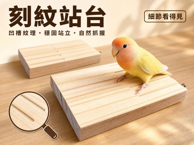 W710JK 刻紋防滑款鸚鵡站台 老鳥殘疾鳥防滑站台 松木大面積休息台 鸚鵡站台, 防滑鳥站台, 老鳥站台, 殘疾鳥站台, 松木鳥站架, 鸚鵡防滑站台, 中小型鸚鵡站台, 玄鳳站台, 鳥用休息台, MY PET BIRD