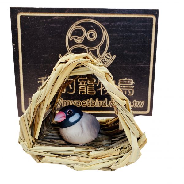 W443A 鸚鵡無棉繩草窩＋站棍 無棉繩草窩
不勾腳鳥窩
寵物鳥草窩
自然草梗鳥窩
鳥類安全窩巢
純天然草香窩巢
鳥類勾腳預防用品
編織草窩鳥巢
高品質寵物鳥窩
無毒草梗鳥窩
