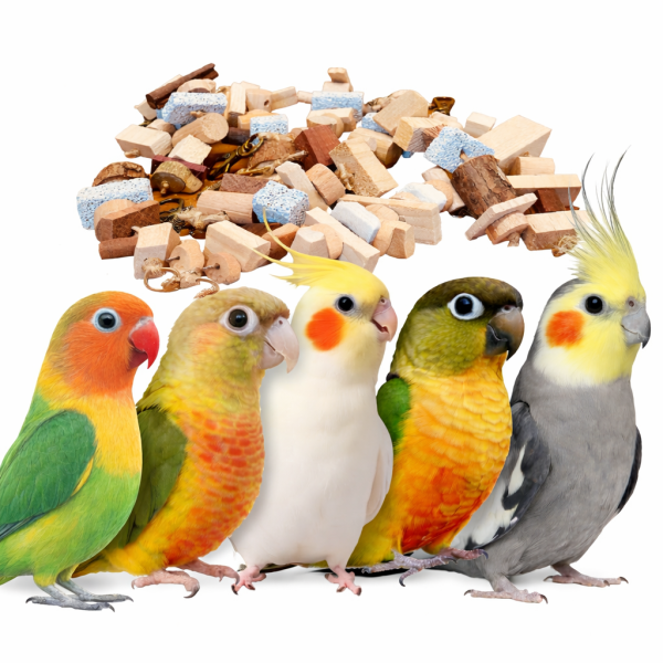 VA 咬翻天/超強破壞王消耗組 文鳥 小鸚 牡丹 白頭翁 麻雀 虎皮 太平洋 玄鳳 小太陽 金太陽 和尚 
鸚鵡玩具 寵物文創 鳥玩具