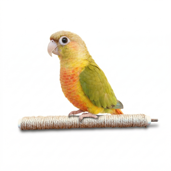 W816  手工麻繩站棍(鸚鵡款)  防滑 好抓握  適合抓握力不足 麻繩站棍

鳥站棍
鸚鵡站棍
磨爪站棍
鳥棲木站不穩

鳥抓握力不足

鸚鵡腳滑

玄鳳站棍 (針對特定鳥種)

文鳥站棍 (針對特定鳥種)

防滑站棍

適合老鳥的站棍

鳥站棍推薦

鳥抓不住站棍