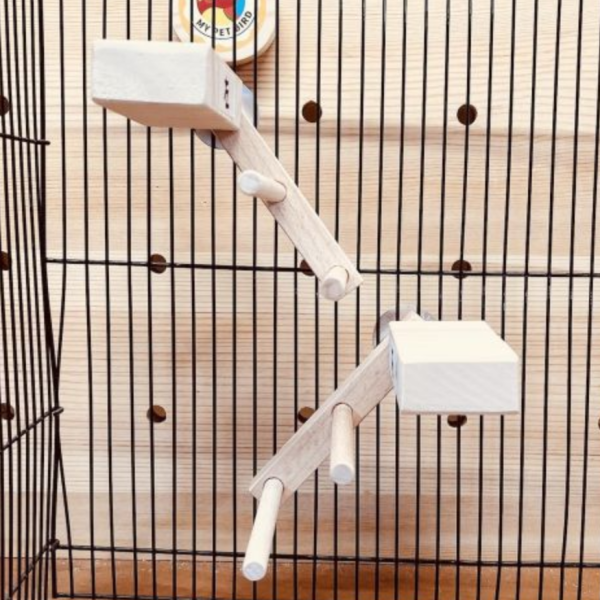 MY PET BIRD 提升綠繡眼鳥籠體驗！創意無限的雙向梯產品 鳥用梯子
小型鳥用梯子
鳥類攀爬梯
鳥籠玩具
天然竹製鳥用梯子
鳥類運動訓練用品
安全可靠鳥用梯子
易於安裝的鳥用梯子
適用於不同大小的鳥籠
高品質鳥用梯子