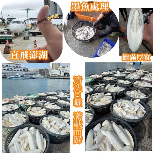 MY PET BIRD 澎湖產地墨魚骨粉 補鈣墨魚骨
鈣質補充
健康骨骼
強化骨骼
營養豐富
天然食材
高鈣來源
墨魚骨營養
骨骼健康