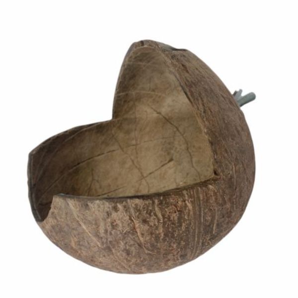 MY PET BIRD 台灣現貨/椰殼窩 椰殼鸚鵡木窩
小鸚鵡舒適窩巢
天然椰殼鸚鵡窩
耐用木質鸚鵡窩
易清洗鸚鵡木窩
鸚鵡舒適休憩空間
環保椰殼鸚鵡窩
手工製作鸚鵡木窩
自然材質鸚鵡窩
安全可靠的鸚鵡住所