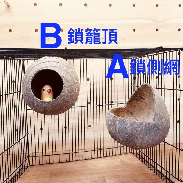 W403 台灣現貨/椰殼窩 椰殼鸚鵡木窩
小鸚鵡舒適窩巢
天然椰殼鸚鵡窩
耐用木質鸚鵡窩
易清洗鸚鵡木窩
鸚鵡舒適休憩空間
環保椰殼鸚鵡窩
手工製作鸚鵡木窩
自然材質鸚鵡窩
安全可靠的鸚鵡住所