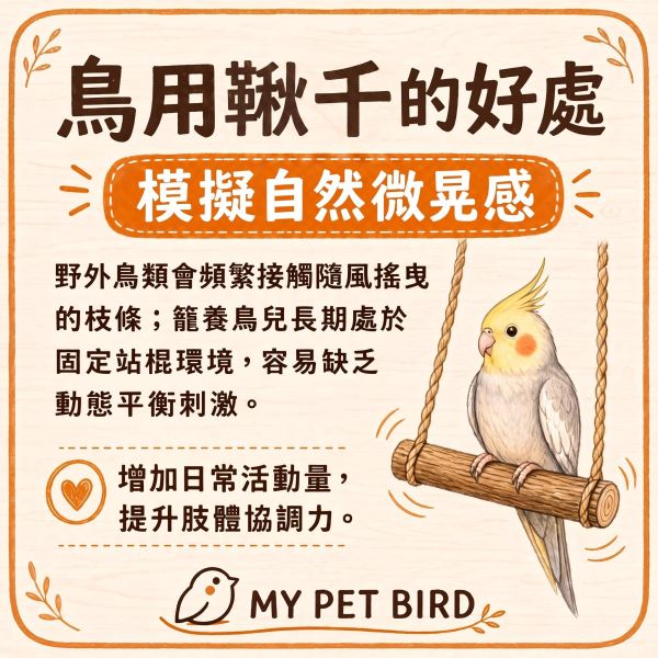 w523 高晃動運動玩具與平衡鍛鍊站台 挑戰性鳥用鞦韆, 鳥用鞦韆推薦, 高晃動鳥鞦韆, 鳥用運動玩具, 綠繡眼鞦韆, 文鳥鞦韆, 小鸚鵡玩具, 鸚鵡平衡鍛鍊, 台灣製鳥玩具, MY PET BIRD