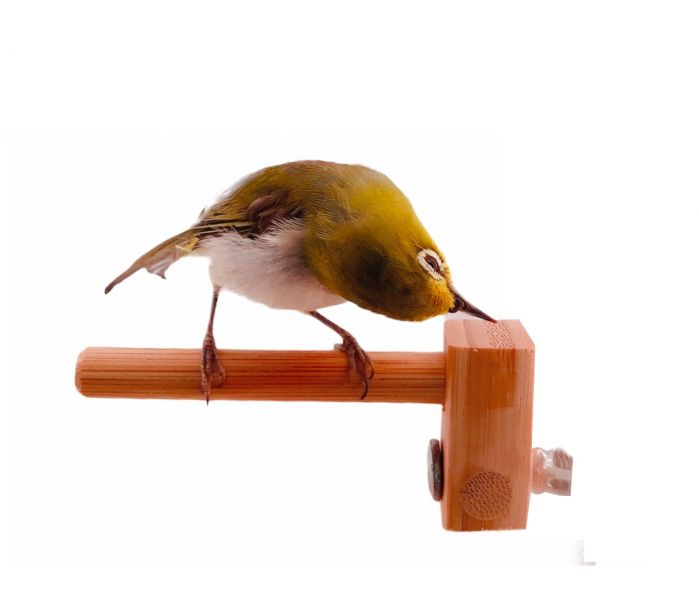 MY PET BIRD 迷你竹站棍 綠繡眼訓練工具
竹質站棍
小腳訓練器材
直徑10mm竹棍
平衡訓練工具
鳥兒站棍模擬
樹枝晃動感覺
綠繡眼運動訓練器具
綠繡眼腳部力量訓練
竹製訓練棍具