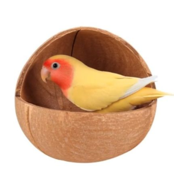 W403 台灣現貨/椰殼窩 椰殼鸚鵡木窩
小鸚鵡舒適窩巢
天然椰殼鸚鵡窩
耐用木質鸚鵡窩
易清洗鸚鵡木窩
鸚鵡舒適休憩空間
環保椰殼鸚鵡窩
手工製作鸚鵡木窩
自然材質鸚鵡窩
安全可靠的鸚鵡住所