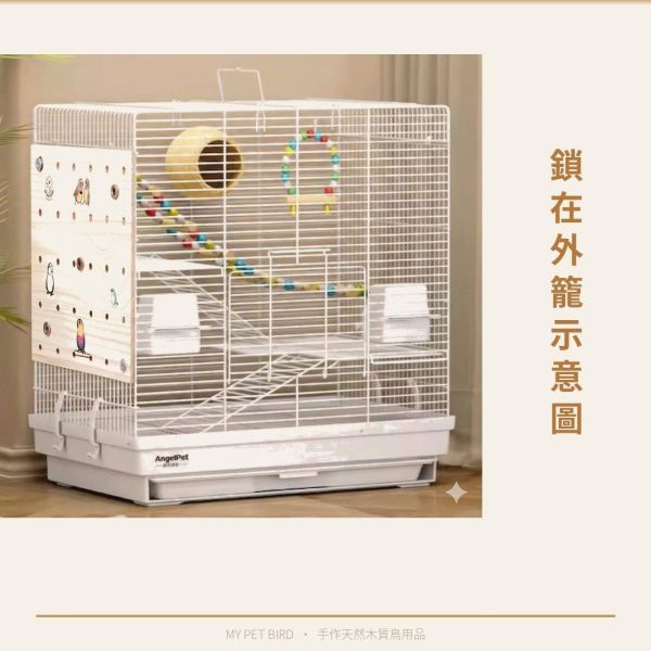 W941  手工彩繪洞洞板｜鳥籠專用遊戲板 洞洞板

鳥籠洞洞板

鳥用洞洞板

寵物鳥洞洞板

鳥遊戲板

鸚鵡玩具板

鳥籠玩具