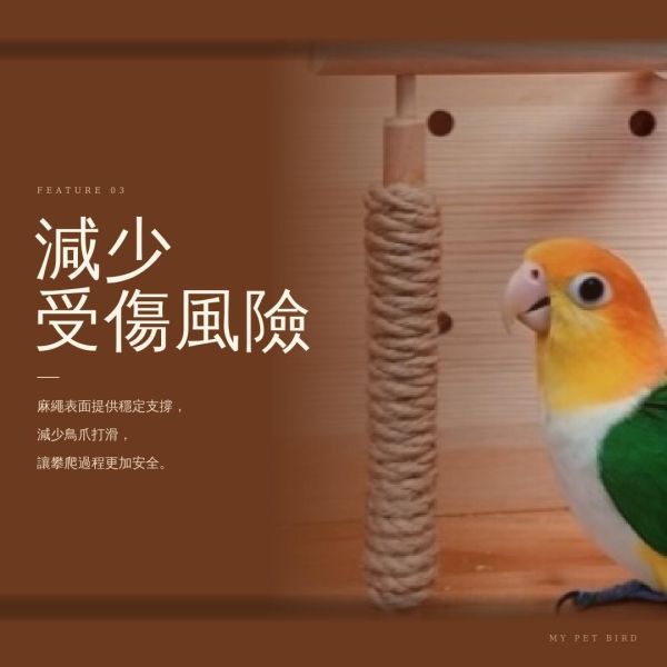 w810 垂直攀爬的樂趣 鳥類磨爪站棍
鳥用攀爬桿
鳥籠磨爪工具
鳥類活動設施
鳥爪保健設備
鳥用磨爪玩具
鳥類健康促進工具
鳥籠增設攀爬桿
鳥類活動空間擴展
鳥用磨爪器具