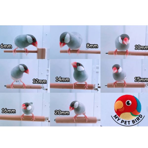 MY PET BIRD 櫸木站棍 棲木 站棍、站架、棲木、磨爪 、木棍、木棒鸚鵡站棍
鳥類站立架
寵物站立訓練器材
鸚鵡活動訓練棒
可調節高度鳥類站立器材
天然木鳥類站立架
無毒寵物訓練玩具
多功能鸚鵡訓練用品
適合鸚鵡站立練習的玩具