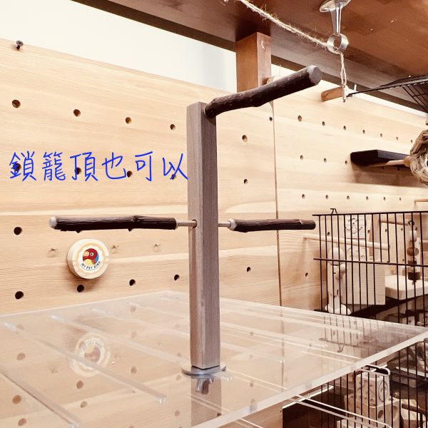 MY PET BIRD  綠繡眼超細組合站棍　籠內跳架 綠繡眼站台 bird perch stand
綠繡眼站架 Bird stand
綠繡眼站棍　Bird Perch
綠繡眼遊樂場 Bird Playground
綠繡眼鳥玩具 Parrot toys
綠繡眼鳥用品 bird products
綠繡眼攀爬繩 Climbing rope
綠繡眼梯子 ladder