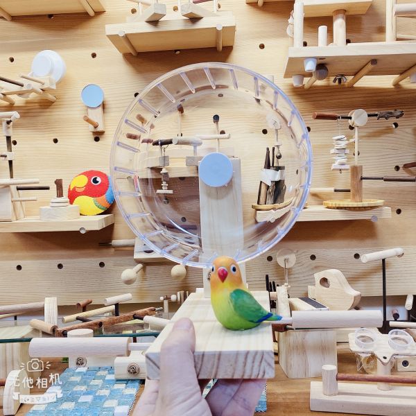 MY PET BIRD 鸚鵡跑輪 /寵物鳥運動器材 鸚鵡跑輪
寵物鳥跑輪
寵物鸚鵡運動設施
MY PET BIRD跑輪
鳥類運動器材
鳥類健康玩具
鳥類運動樂趣
鳥類休閒設施
鳥類活動站台
鸚鵡運動娛樂