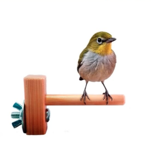 MY PET BIRD 迷你竹站棍 綠繡眼訓練工具
竹質站棍
小腳訓練器材
直徑10mm竹棍
平衡訓練工具
鳥兒站棍模擬
樹枝晃動感覺
綠繡眼運動訓練器具
綠繡眼腳部力量訓練
竹製訓練棍具